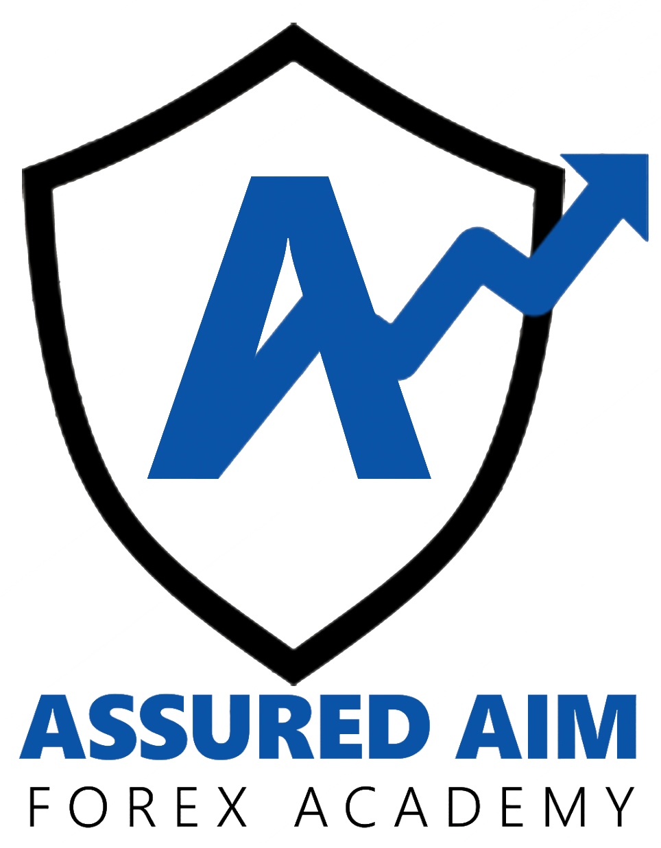 BranBloc - Home - assurance aim logo 2