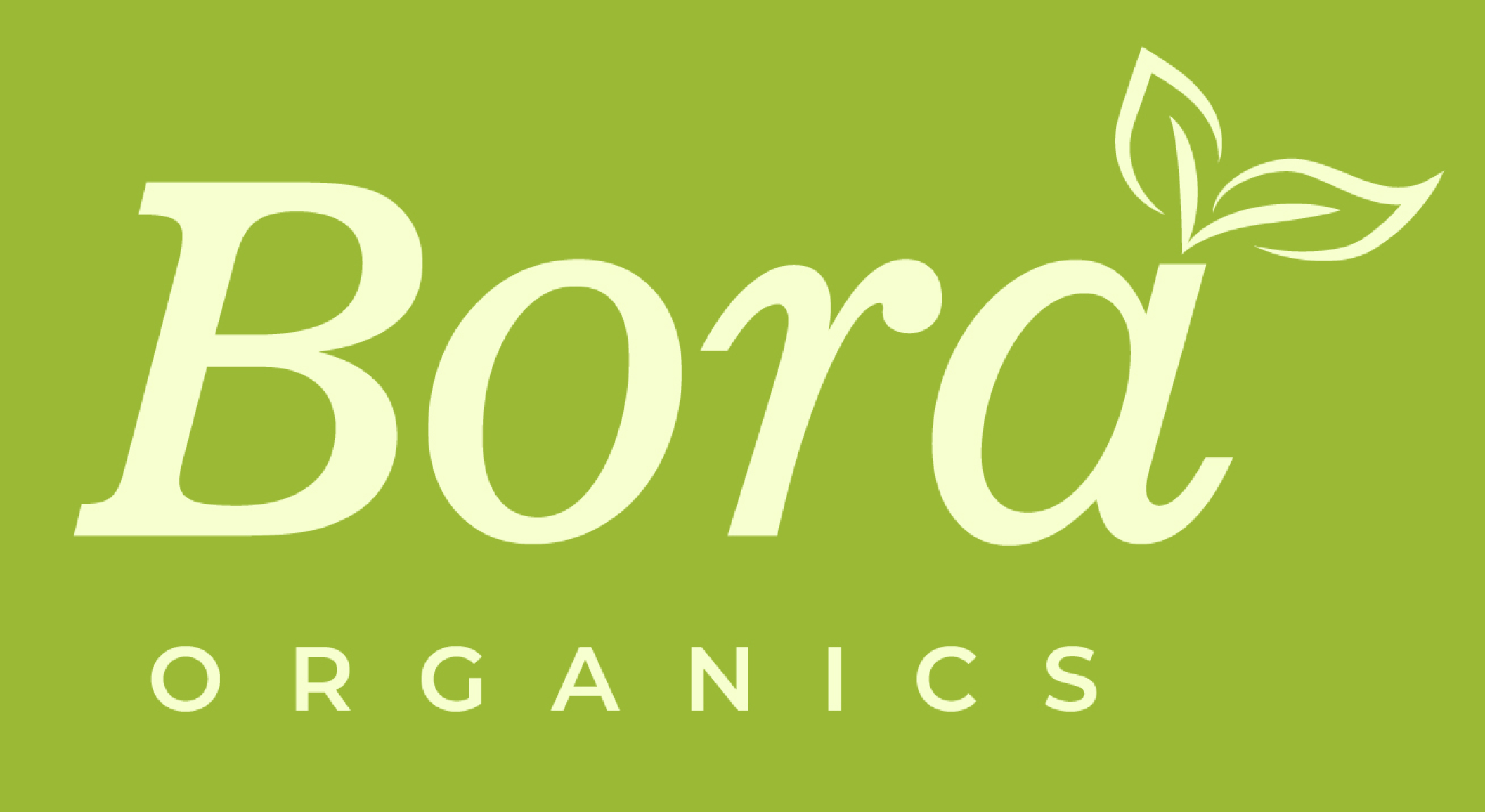 BranBloc - Website Design and E-commerce Solution - Bora logo